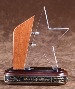 Awards award, trophy, gift for recognition