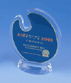 Custom shaped artist pallet recognition award 