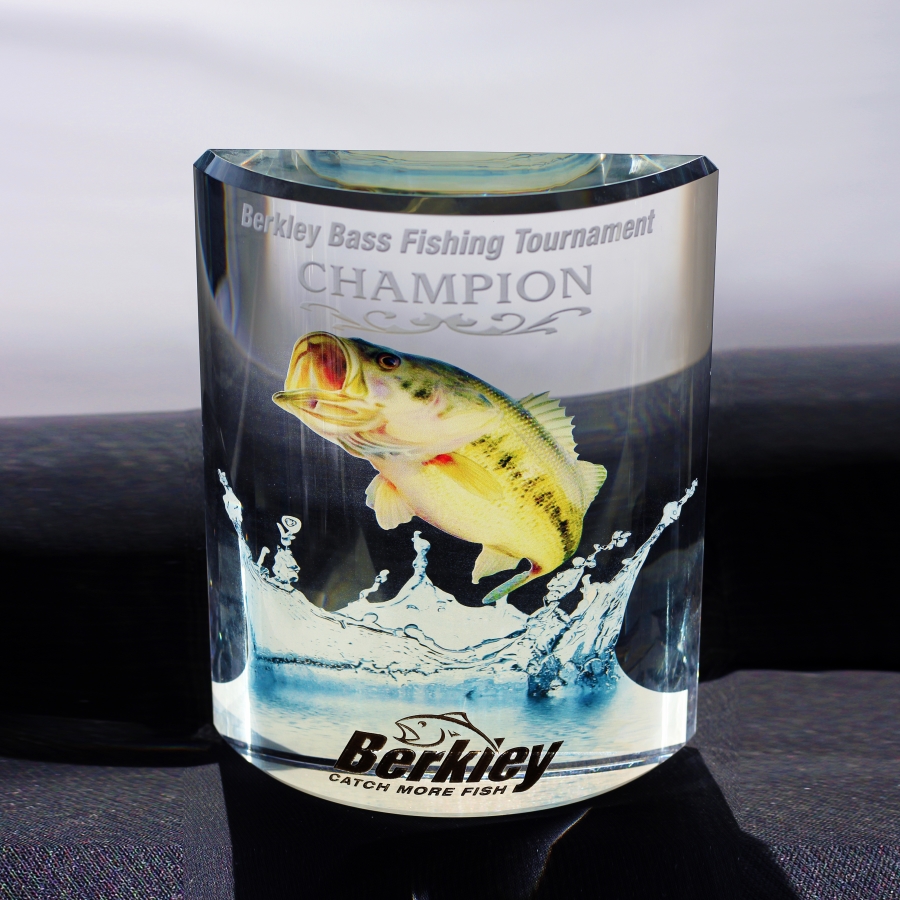 Crystal award with 2 sided graphics or imprint.