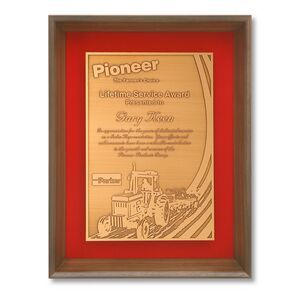Rectangle, Beveled Side, Square Corner, Brass Plate, Bronze Plate, Nickel Plate, Metal, Accomplishment, Achievement, Recognition, Safety, Service, Nickel Silver, Frame, Framed