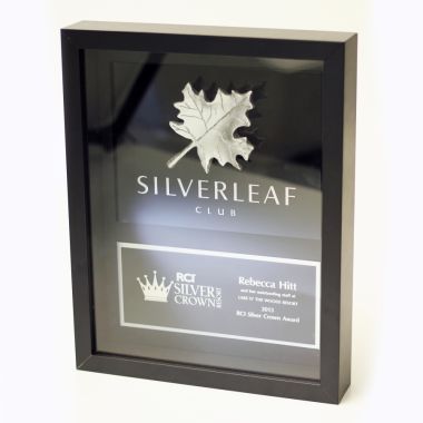 Plaque wood metal shadow box award trophy