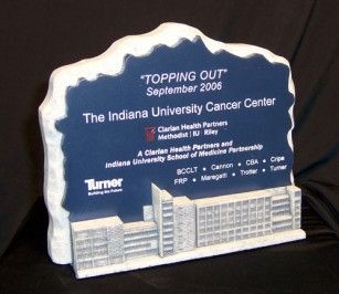 Custom hospital building shaped replica Stone award trophy