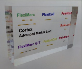 Custom Lucite embedment award with fiducial markers display 