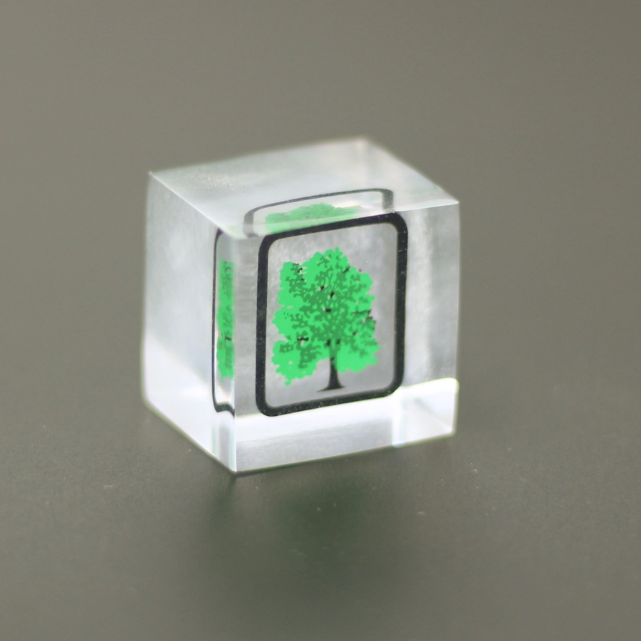 Small one inch cube with tree embedment gift