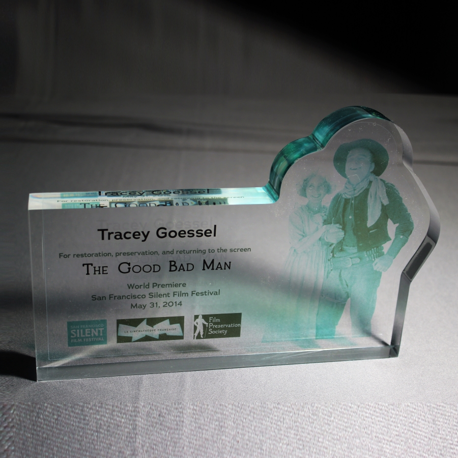 Embedment  Lucite  photo copy trophy award