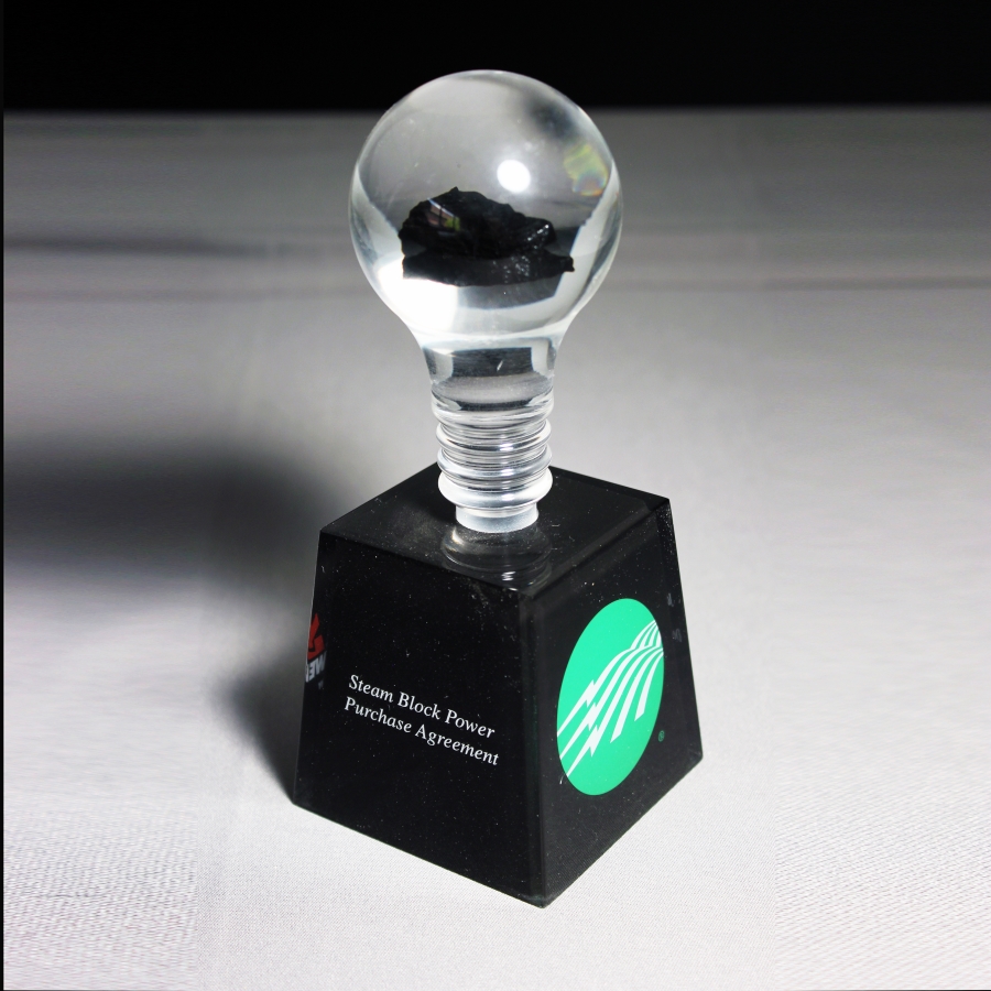 Custom shaped Lucite award lightbulb with coal embedment and black base