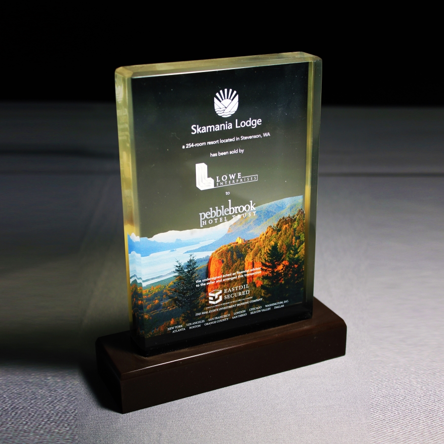 Simple contemporary Lucite award on brown base with embedment and etching