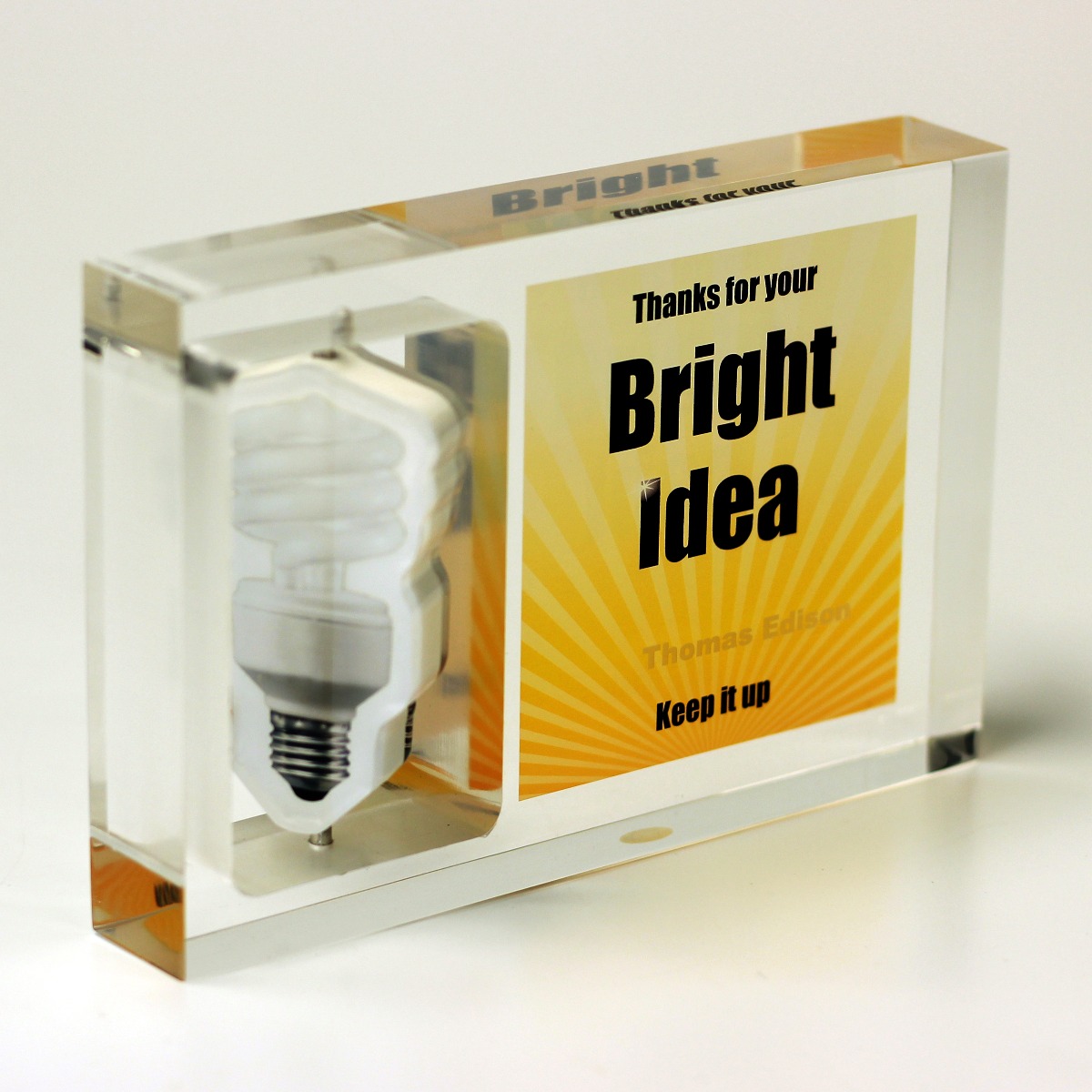 Custom shaped interactive motion Lucite award with moving light bulb spinner 